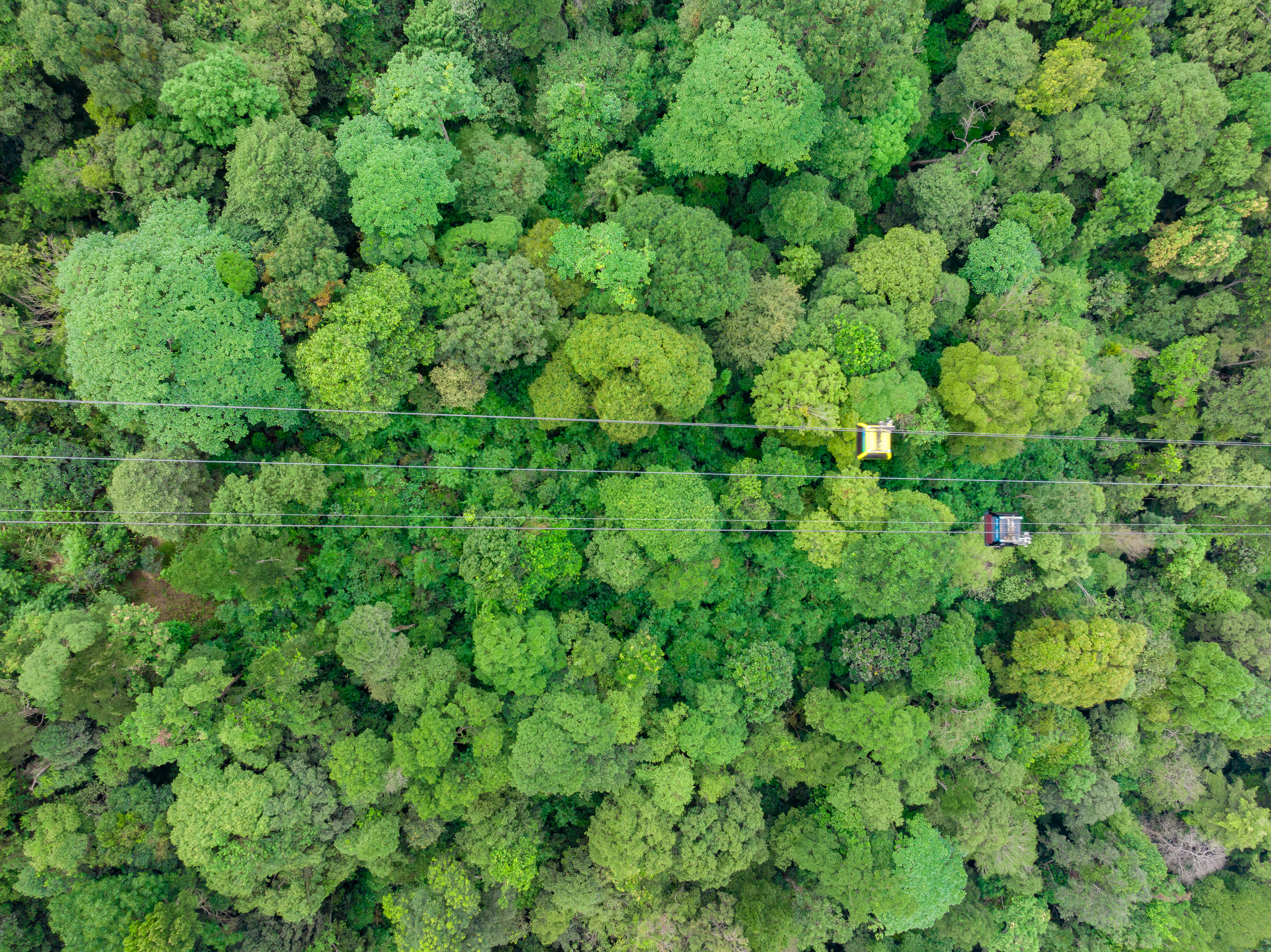 DJI_0329